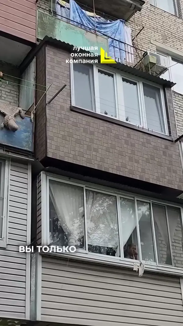 Вы только посмотрите!