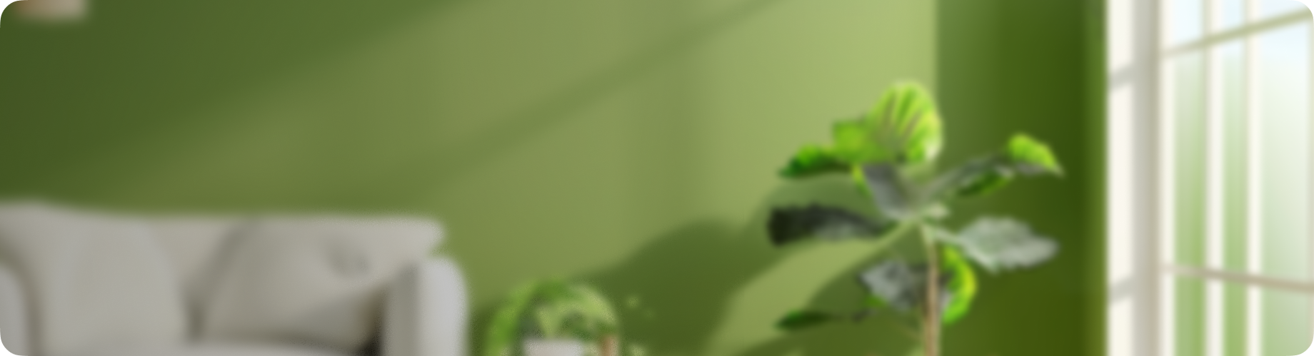 Цветные окна по цене белых