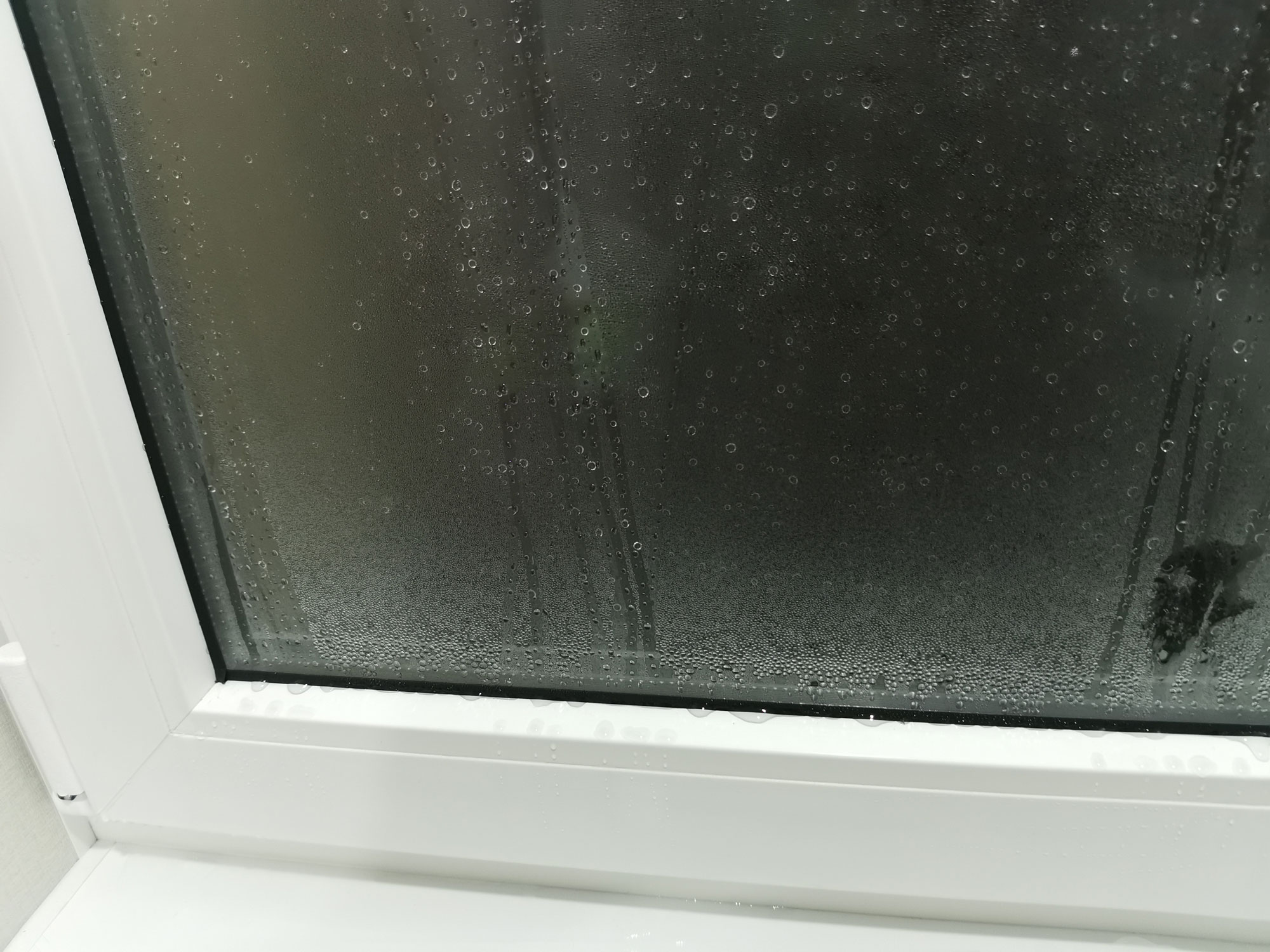 ИзображениеЕкатерина