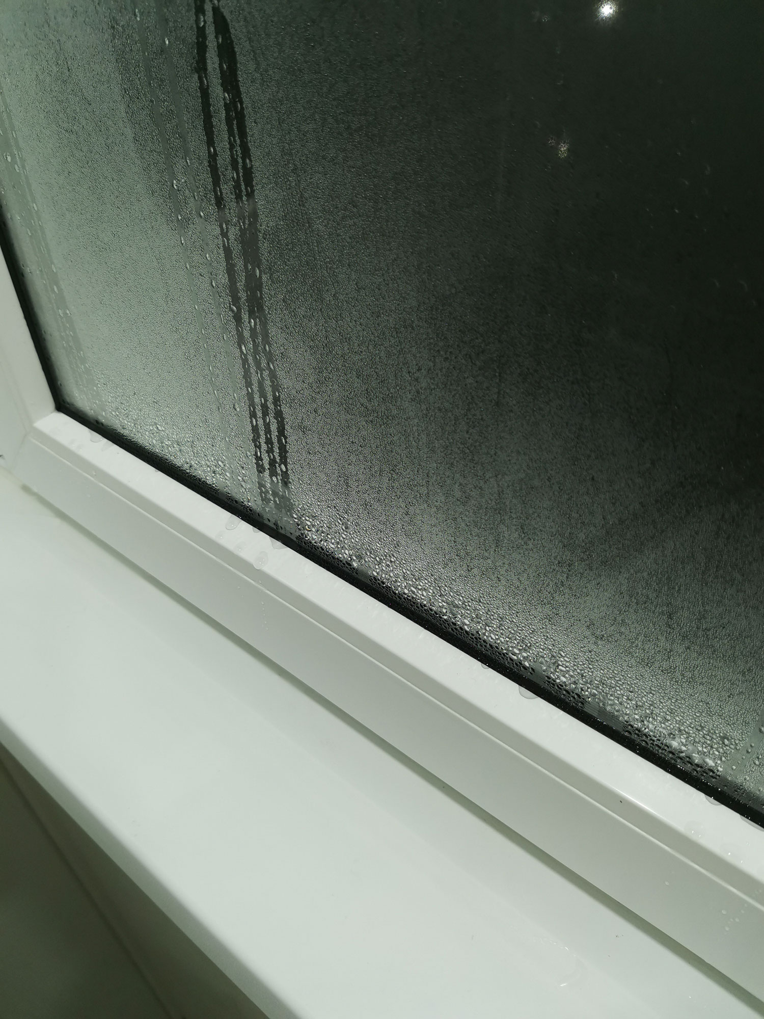 ИзображениеЕкатерина